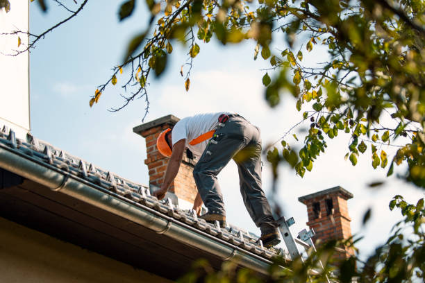 Best Roof Repair Services  in Long Creek, IL