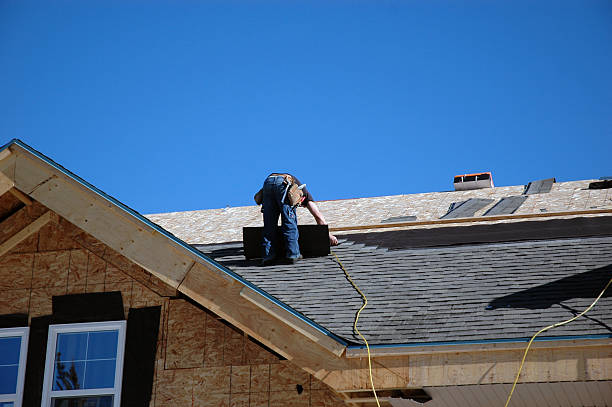Best Roof Gutter Cleaning  in Long Creek, IL