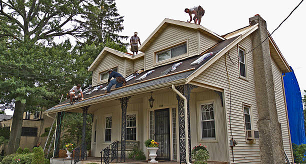 Best Roof Waterproofing Services  in Long Creek, IL